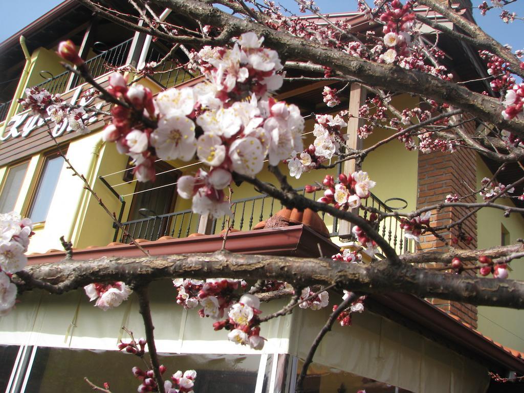 גוג'ק Kybele Hotel Gocek מראה חיצוני תמונה
