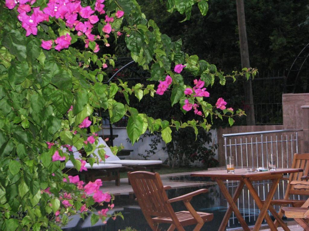 גוג'ק Kybele Hotel Gocek מראה חיצוני תמונה