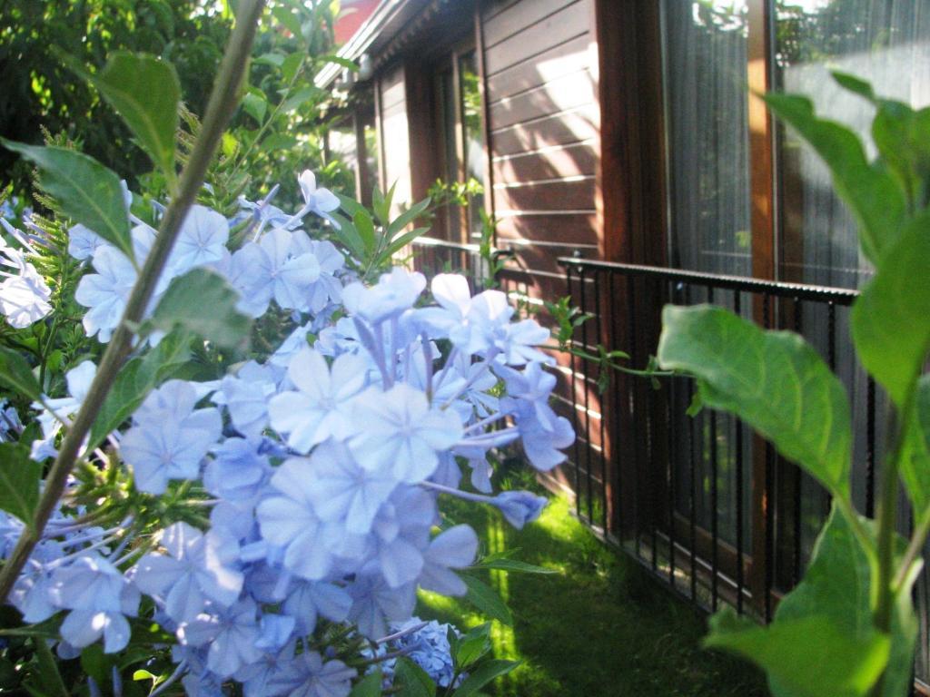גוג'ק Kybele Hotel Gocek מראה חיצוני תמונה