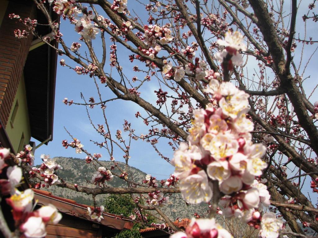 גוג'ק Kybele Hotel Gocek מראה חיצוני תמונה